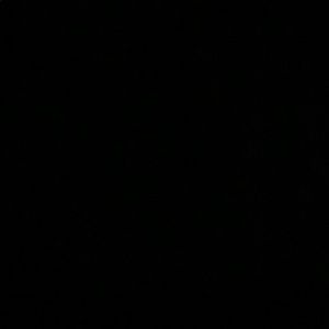 Meet your Posher, Roy